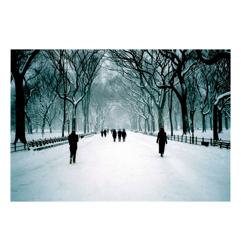 Walk In The Snow At Central Park